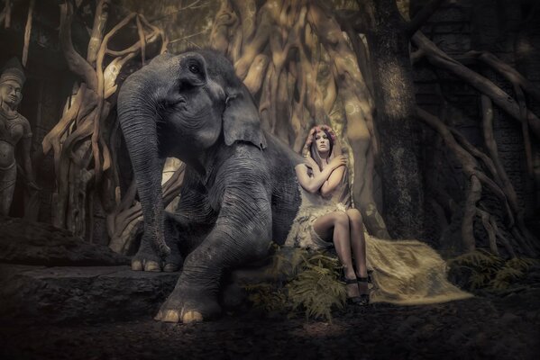 Hermosa sesión De fotos de una chica con un elefante