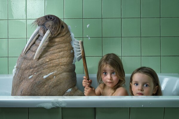 Girls wash walrus in the bathroom