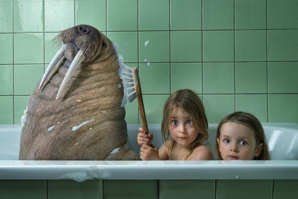 Девочки моют моржа в ванной