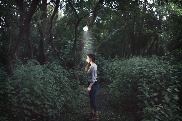 Photo atmosphérique dans une forêt sombre