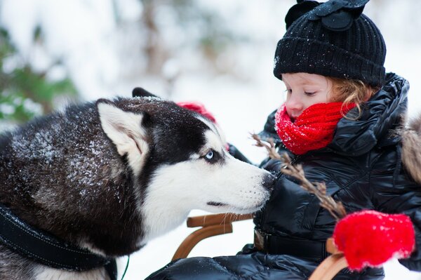 Ein Mädchen und ein Husky auf einem Spaziergang im Winter