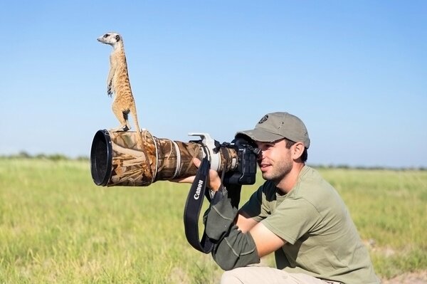 Meerkat si siede sull obiettivo di un fotografo sul campo