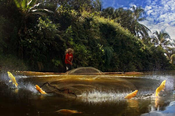 Le poisson saute hors de l eau en partant de réseau