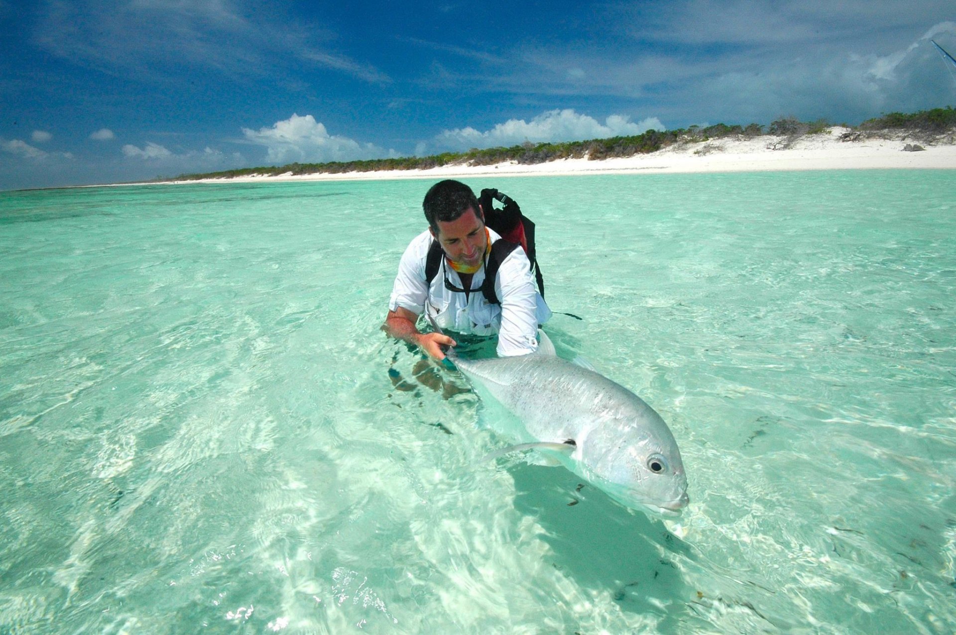 l océan l homme le poisson