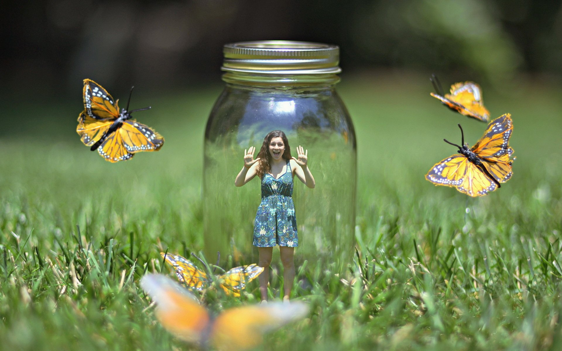 girl of the bank nature the situation butterfly