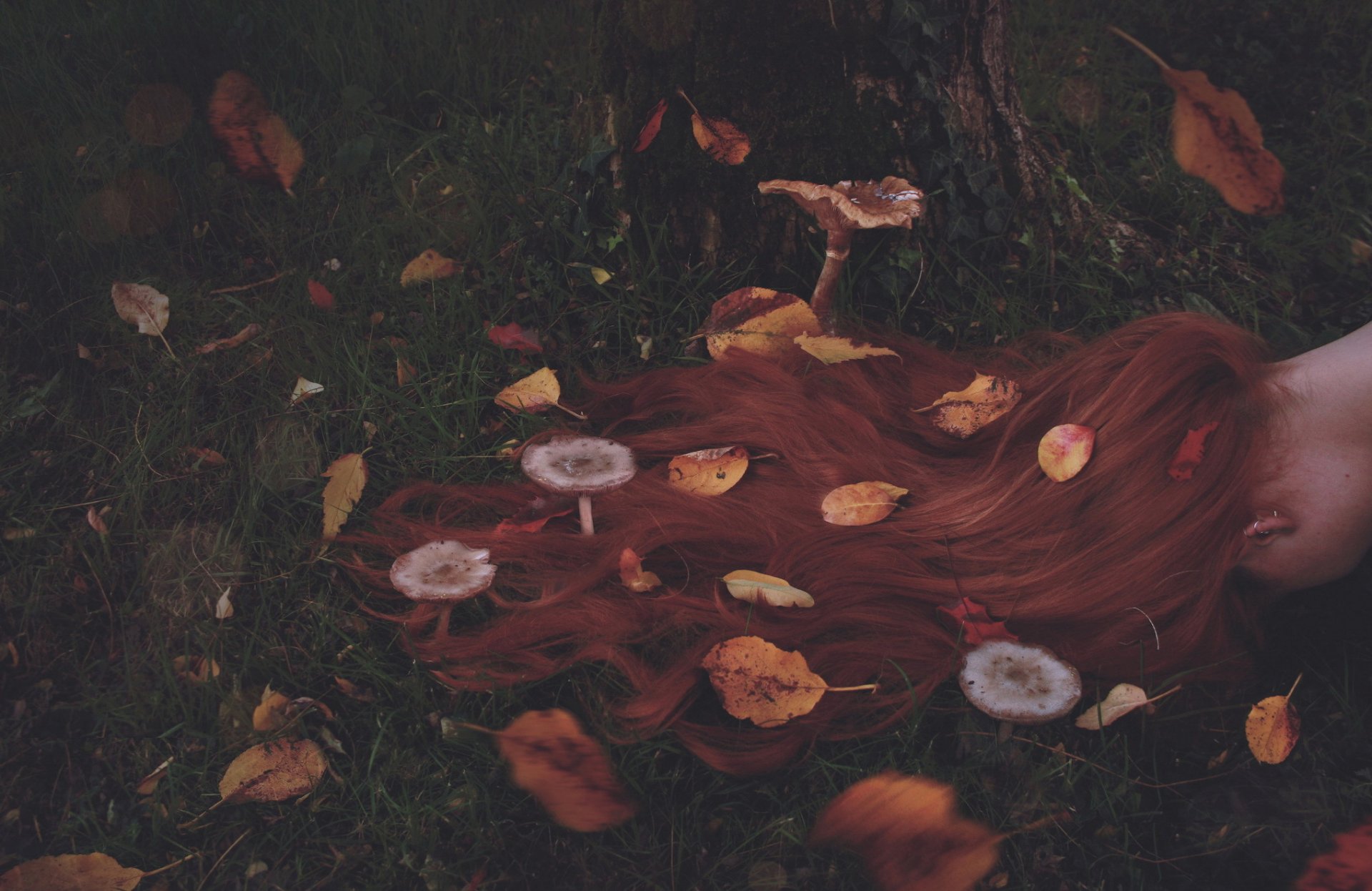 les cheveux roux les champignons les feuilles