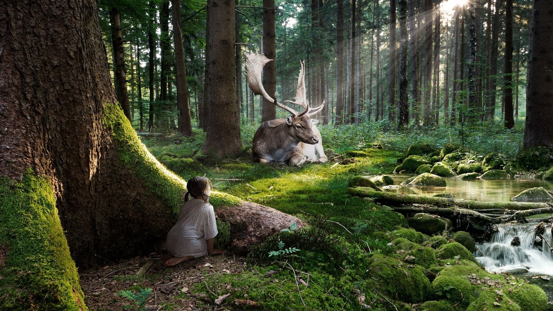 girl reindeer forest observations rays creek