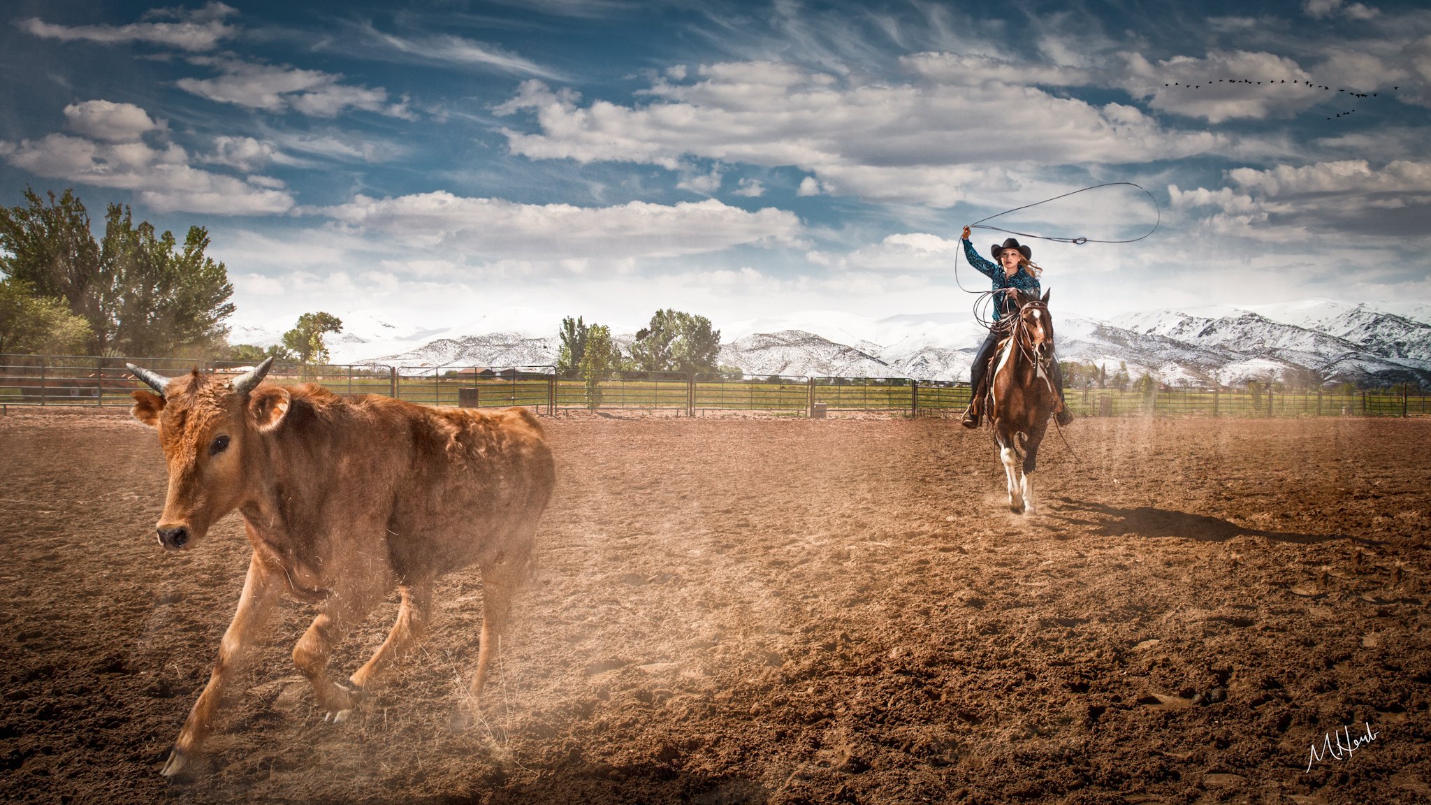 cowgirl rinder-seile bauernhof rodeo