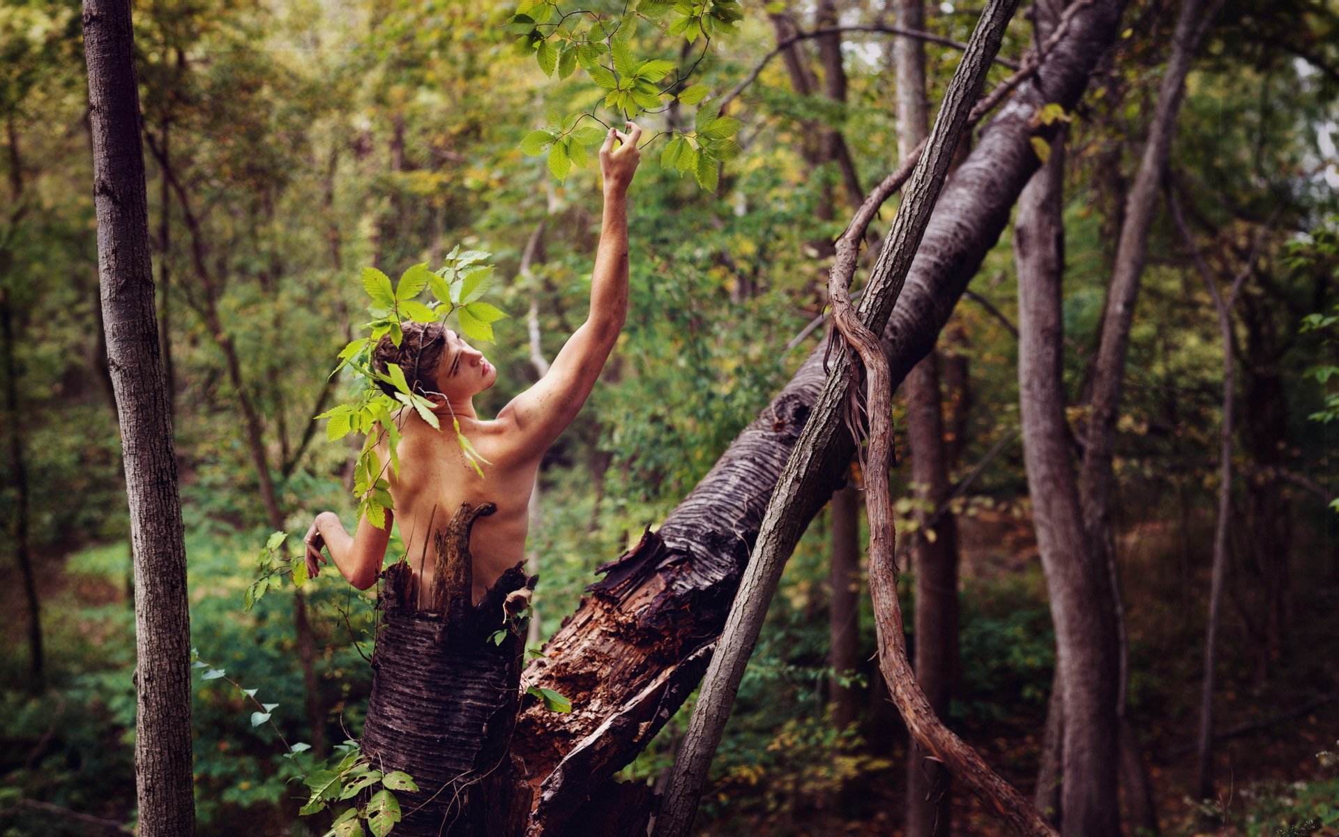 guy arbre forêt situation