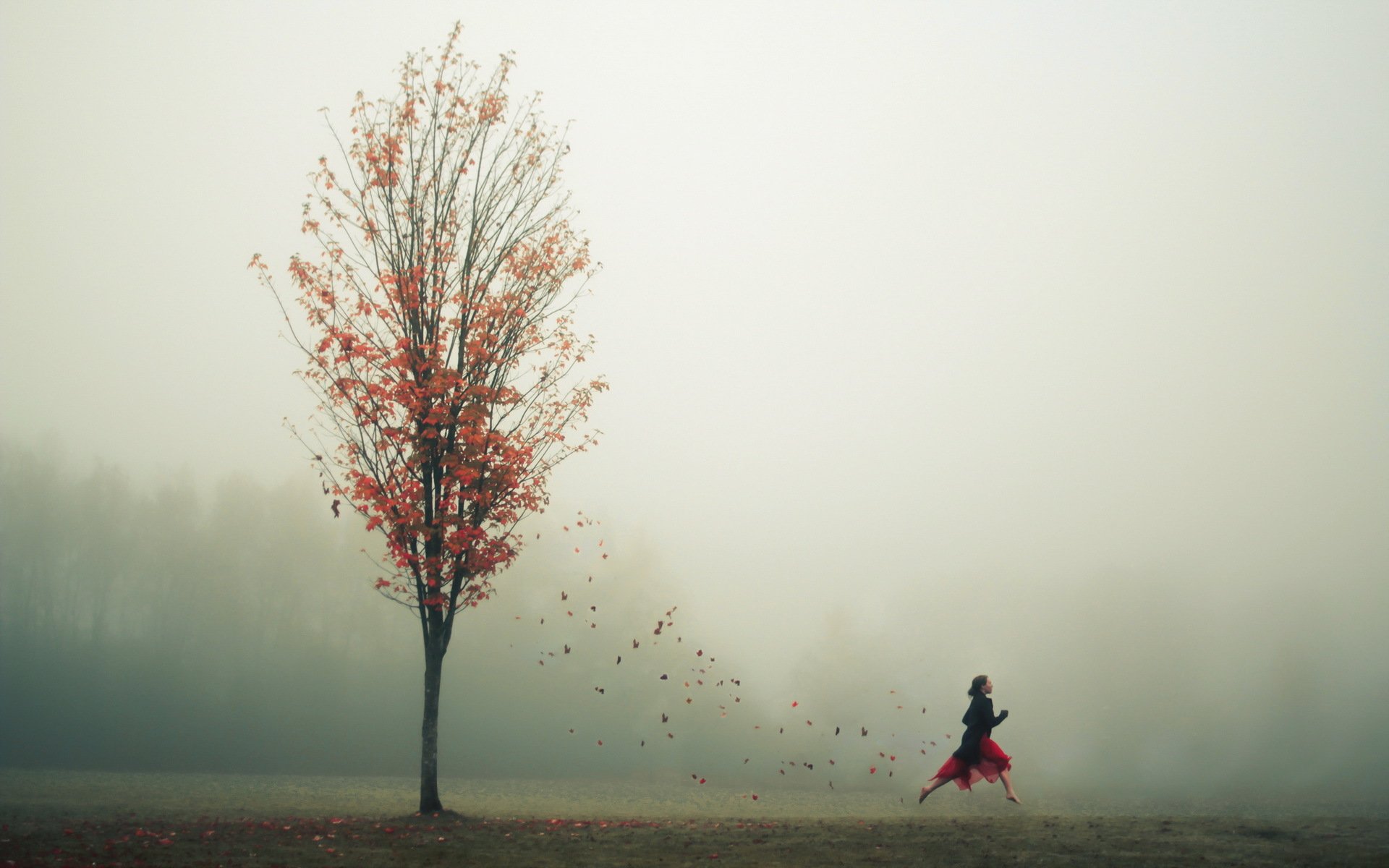 fille automne feuilles arbre brouillard