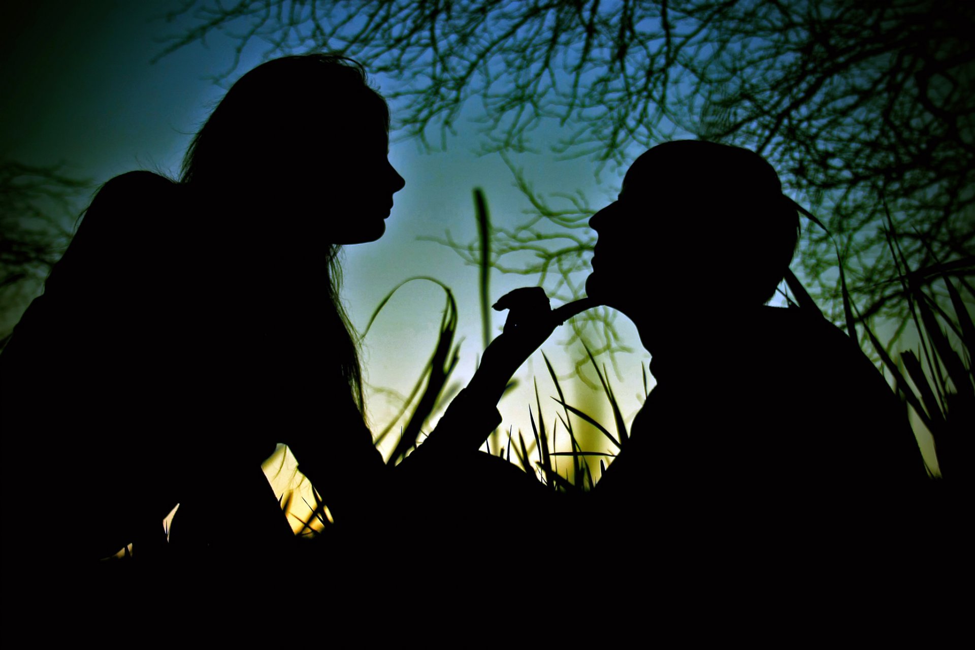 ragazzo ragazza ombre sagome foresta erba cielo