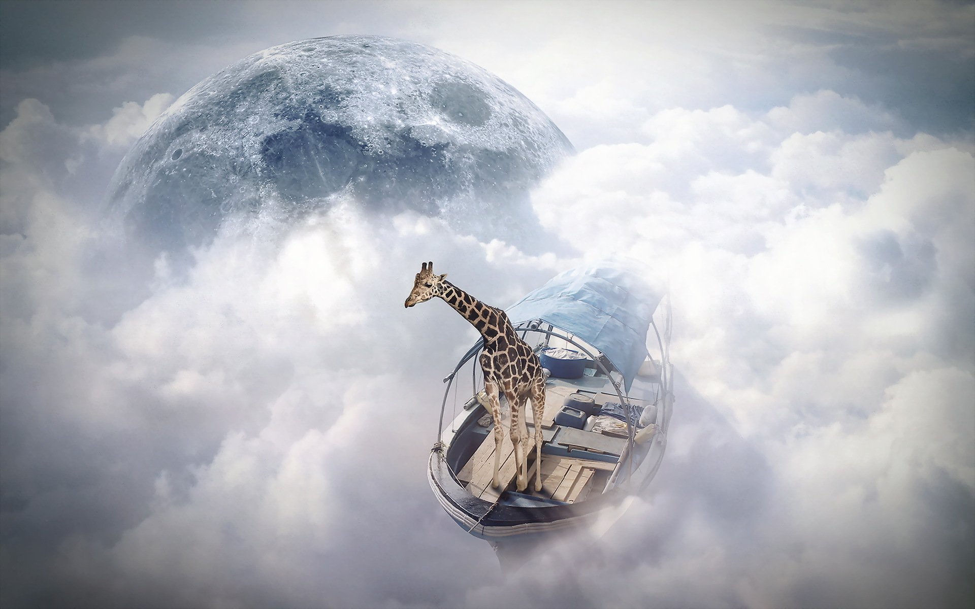 photomanipulation finearts sky sailor giraffe