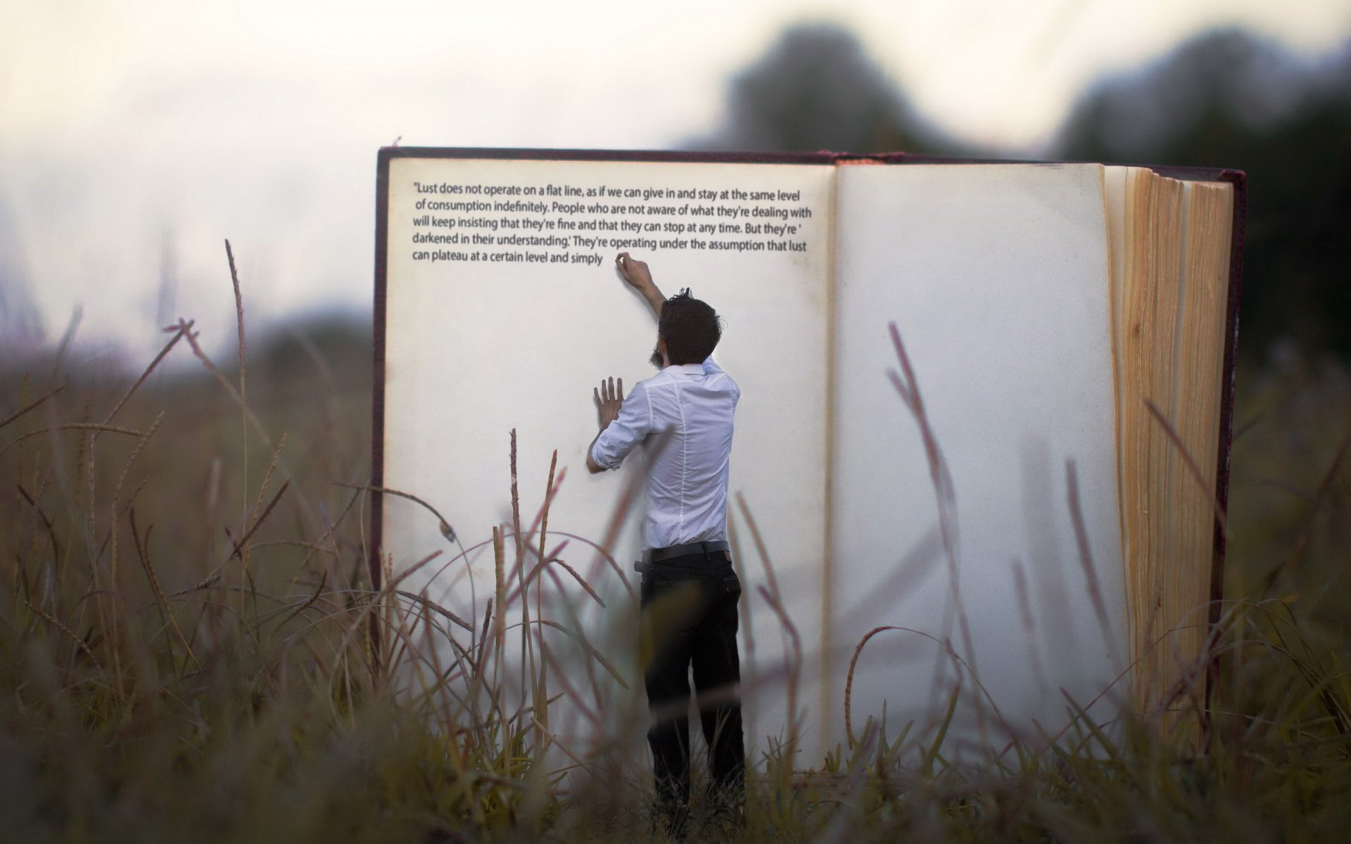 hombre libro hierba