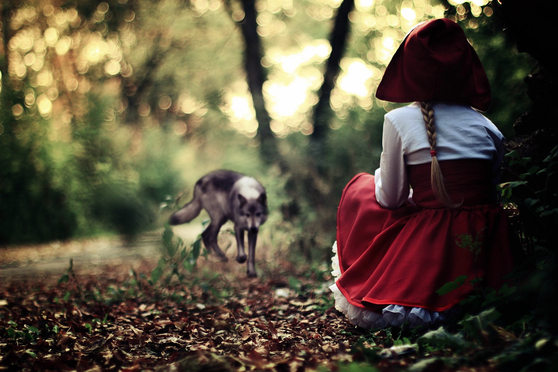 rouge bonnet robe robe d été la jeune fille forêt gris loup