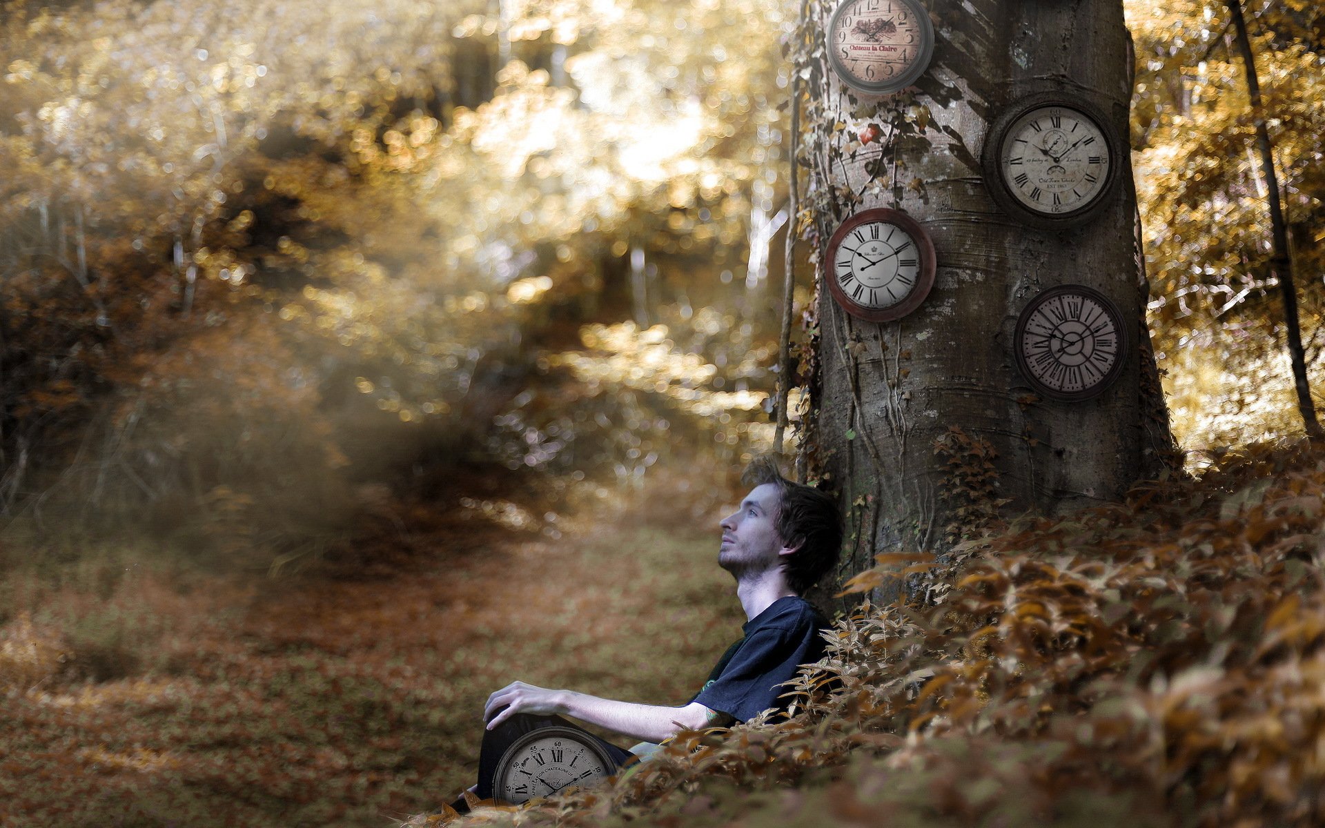 le gars la forêt la montre la situation