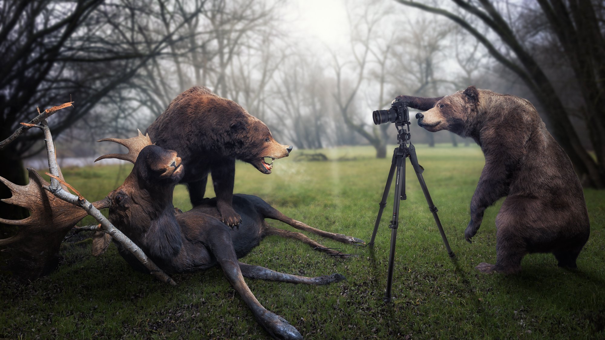 ours orignal trophée photographe