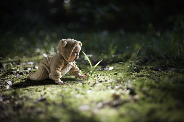 Foto del bambino al filo d erba rugiada