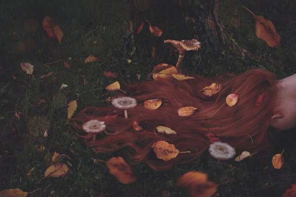 Mushrooms with leaves in red hair