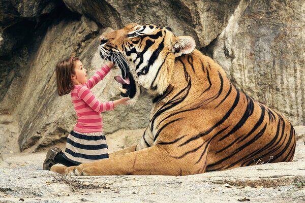 A little girl looks into the mouth of a tiger