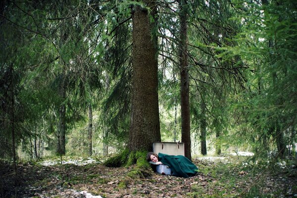 Fille endormie dans une valise dans une forêt mystérieuse