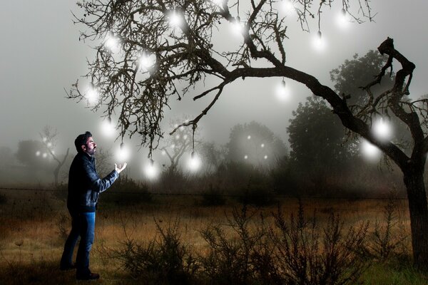 A man stands by a tree with light bulbs