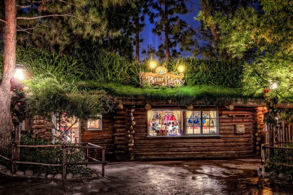 Bar near the road in the evening