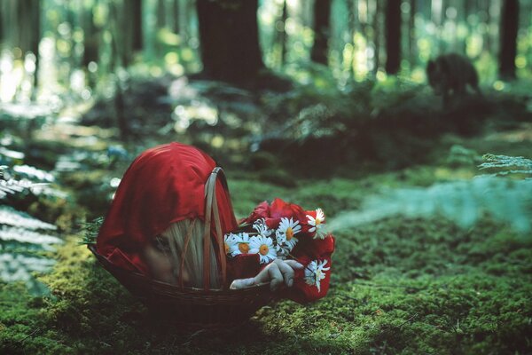 La cabeza de Caperucita roja en el bosque