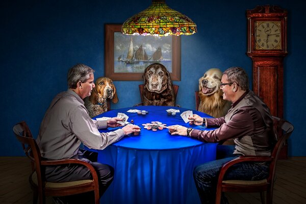 Le jeu des hommes avec des chiens dans le poker