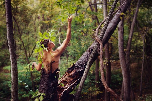 Hombre retrata un árbol en el bosque