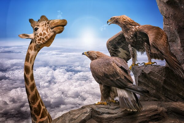 Cute giraffe with eagles background