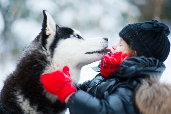 Ritratto carino di un bambino con un cane husky