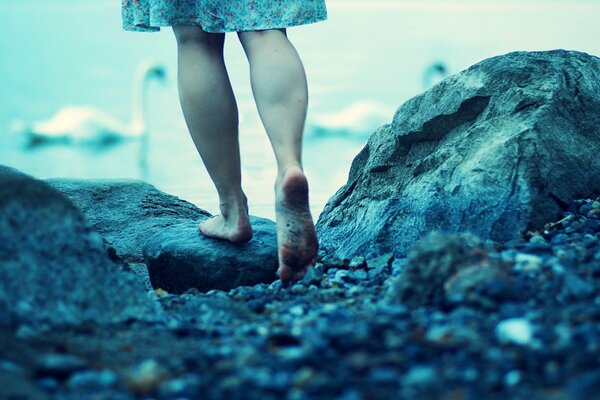 En el fondo del agua, una chica con un vestido azul Mira a los cisnes
