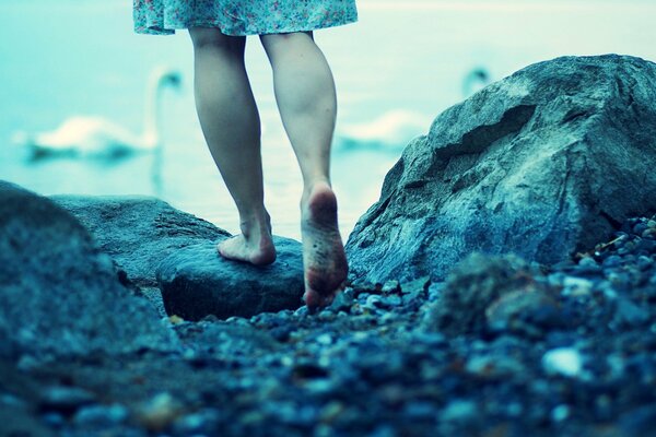 Sur le fond de l eau, une jeune fille en robe bleue regarde les cygnes