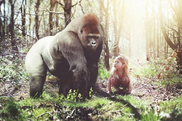 Kleines Mädchen hockt im Wald und schaut auf den Gorilla