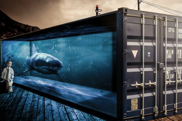 A boy near a sea container with a shark