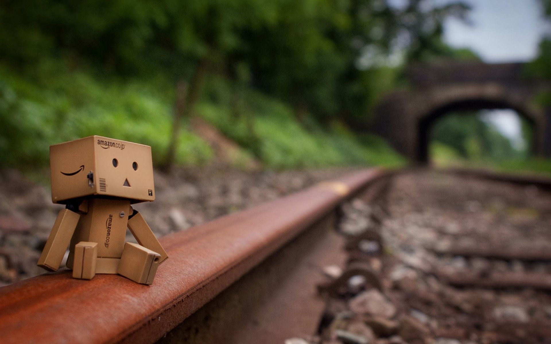 danbo caja carriles tristeza