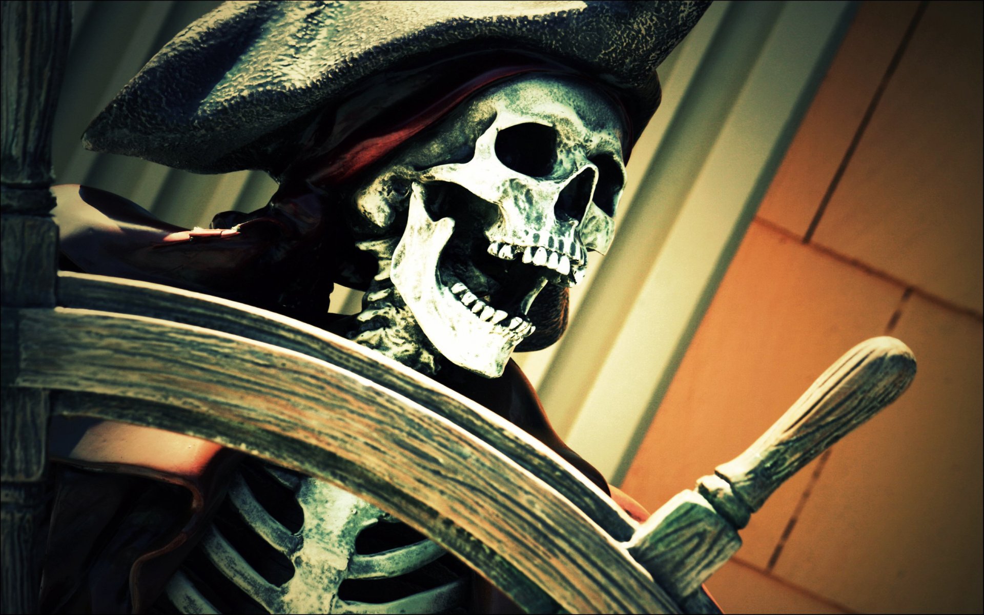 pirates skeleton steering wheel hat the jaw