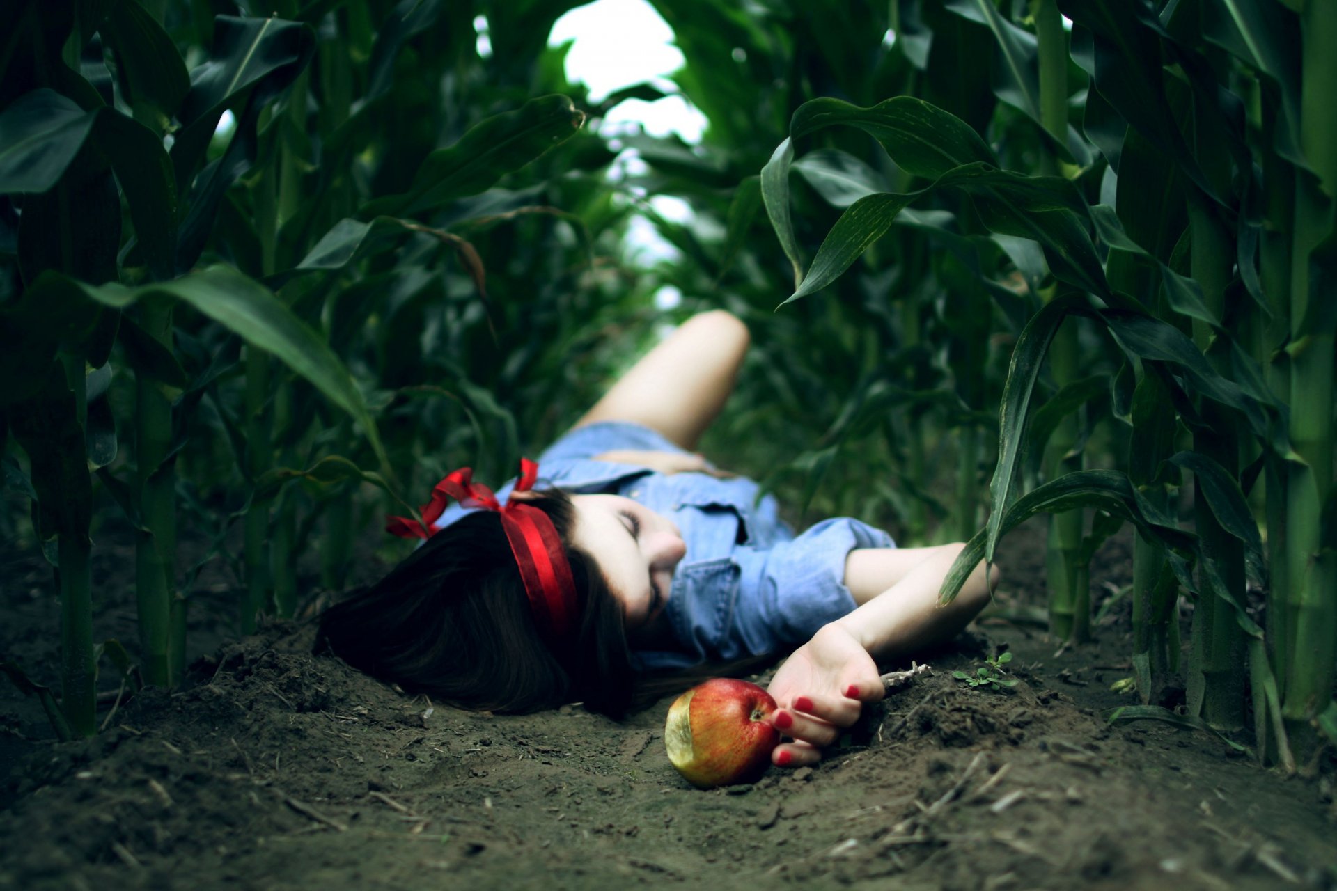 the field land girl apple background wallpaper