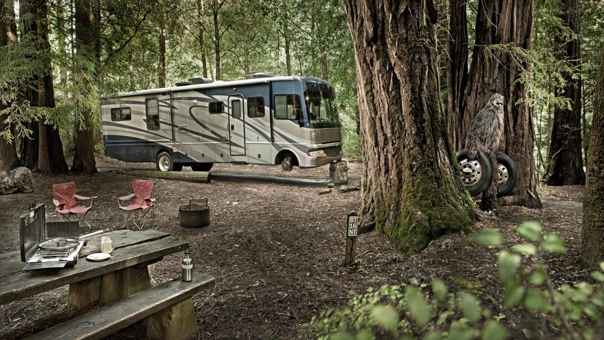 forest camping bus wheel yeti