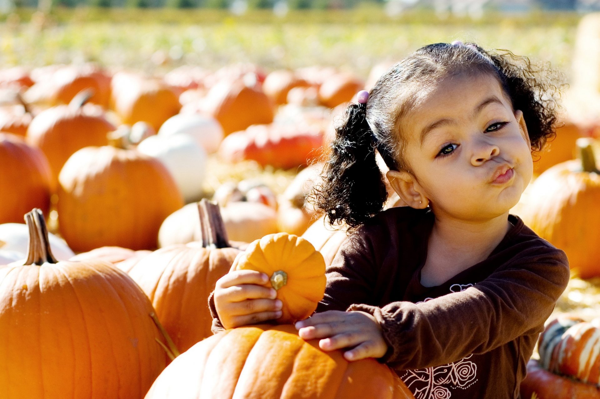 girl child face grimace funny pumpkin pumpkin fruit