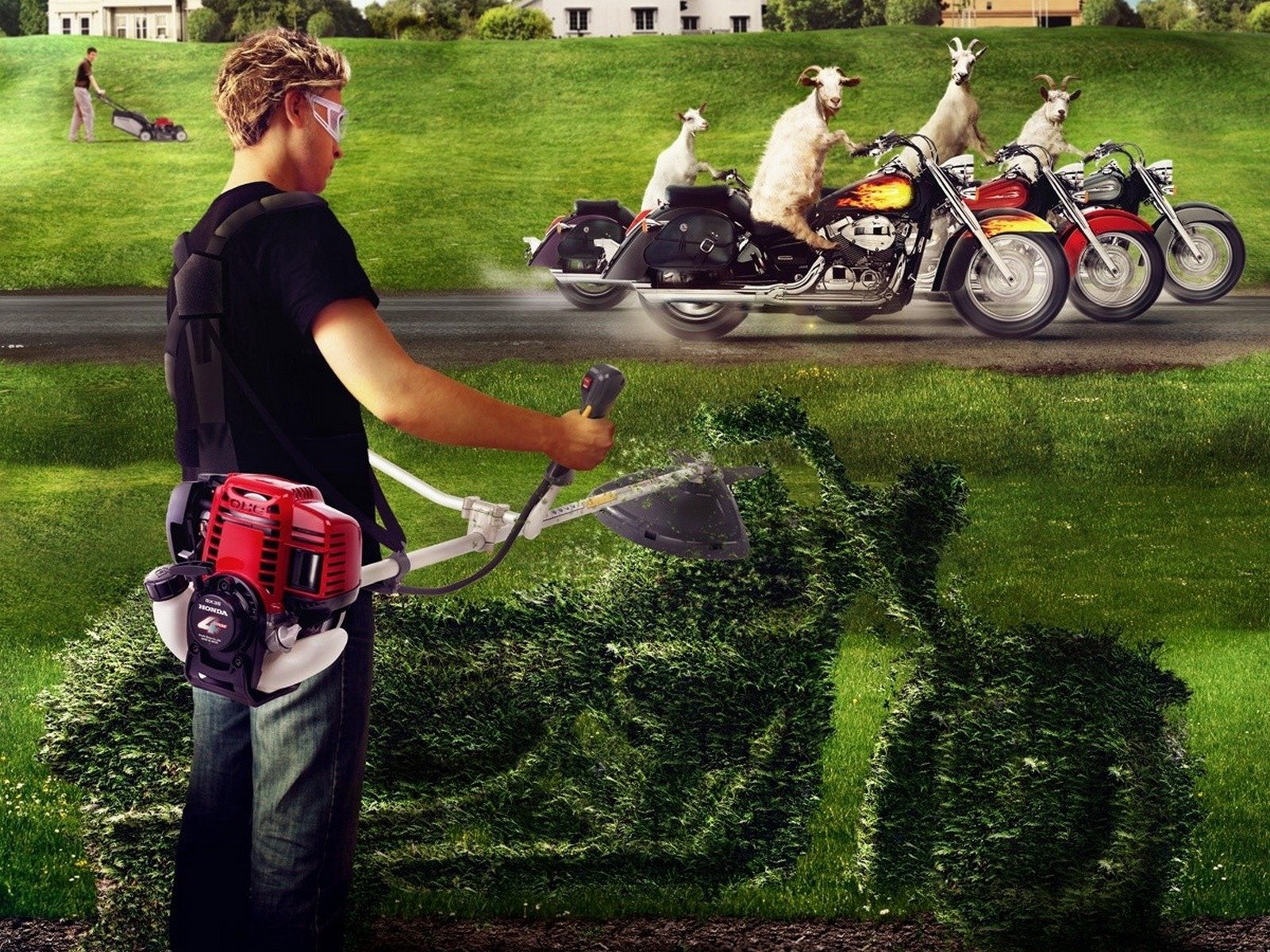 grass motorcycles box lawn mower