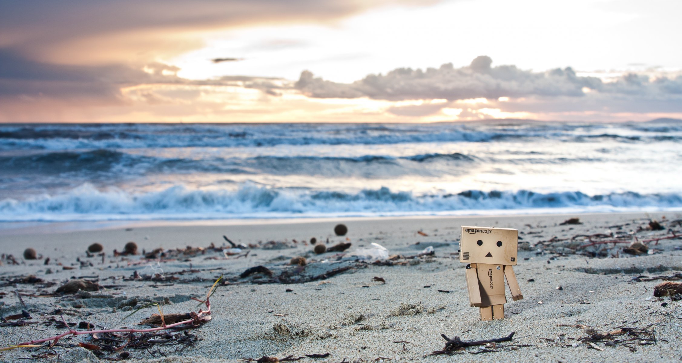 danbo danby beach sunset figurine toys sand algae