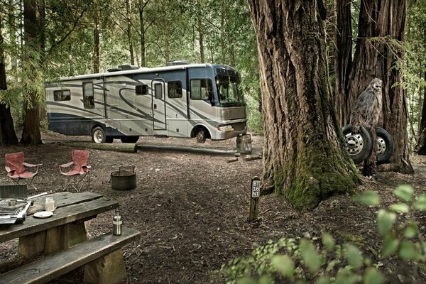 There is a bus without front wheels in the forest