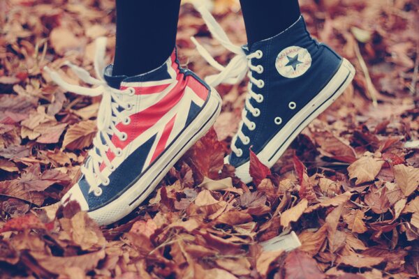 Sneakers on the background of autumn foliage