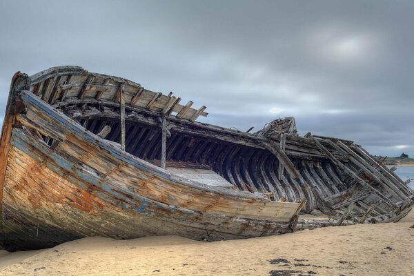 Vestiges d un navire sur la côte de la mer