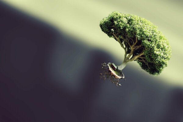 Kleiner Baum mit Thiele Ikebana, der in der Schwerelosigkeit schwebt