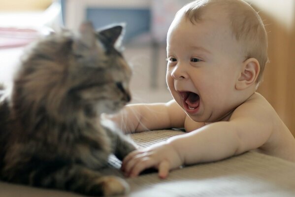 Bébé heureusement se joue avec un chat