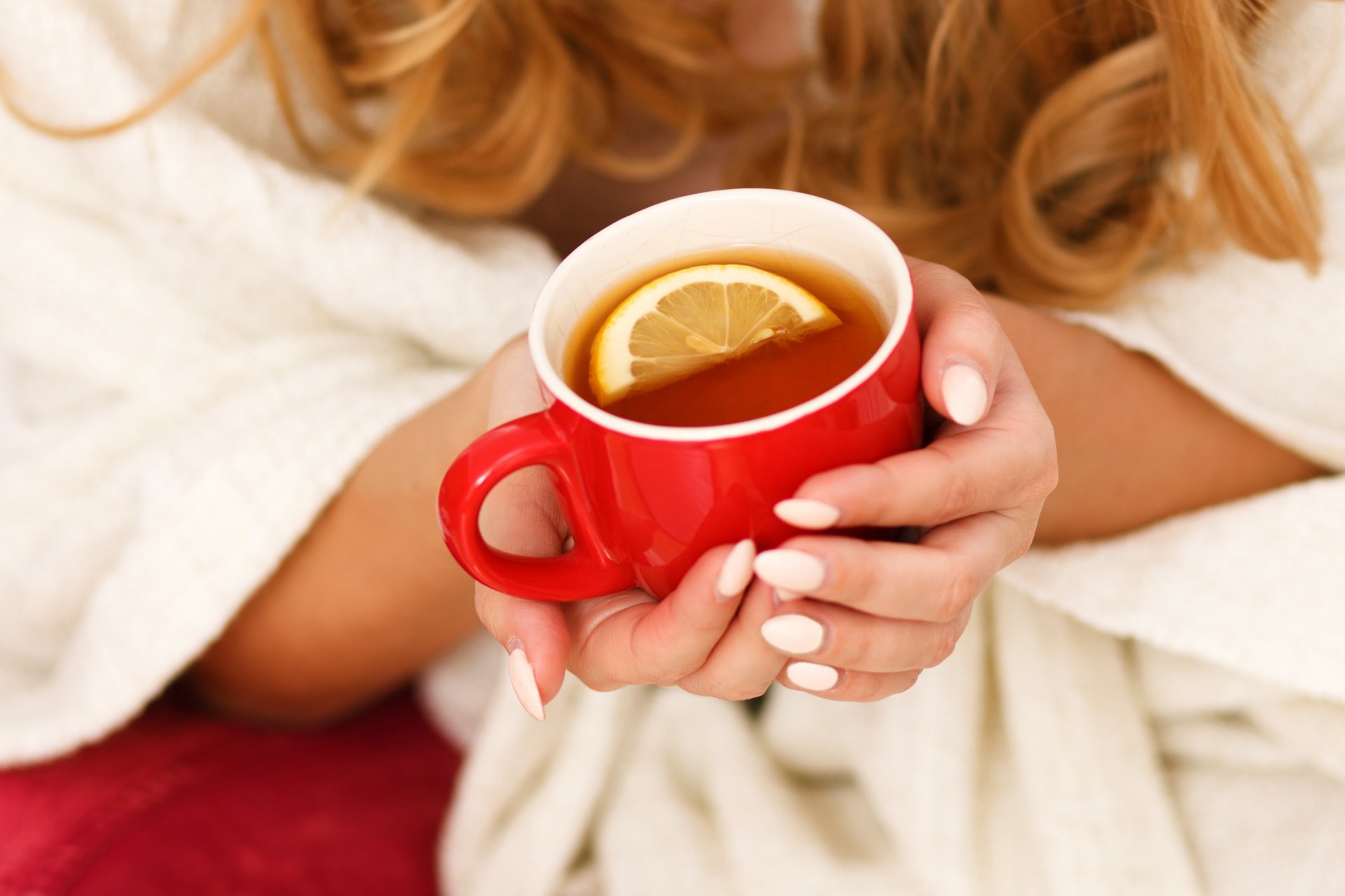 humeur matin matin belle mains tenir rouge tasse thé citron chaleur repos relax bonne idée positif arrière-plan flou bokeh fond d écran