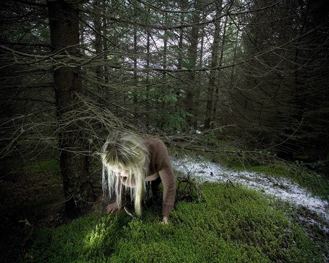 la jeune fille perdue arbres forêt