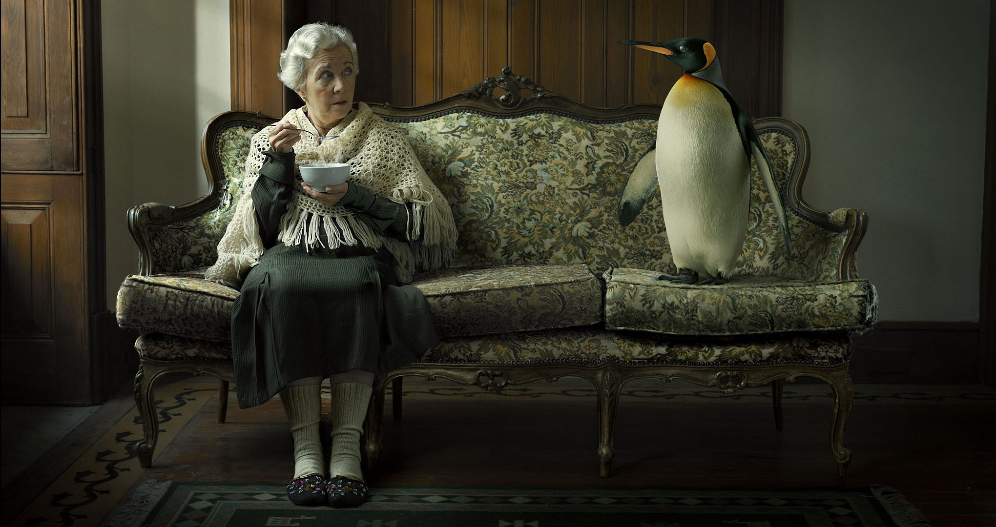 grandmother sofa penguin